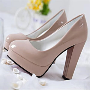 New Women Pumps Shoes – Pointed Toe High Heels