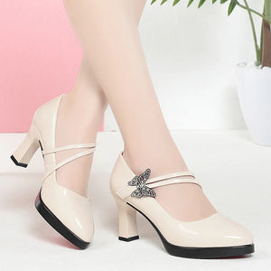 Spring & Autumn High-Heeled Leather Shoes